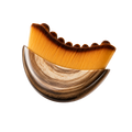SilkGlow Facial Brush™